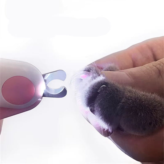 Pet Grooming Scissors