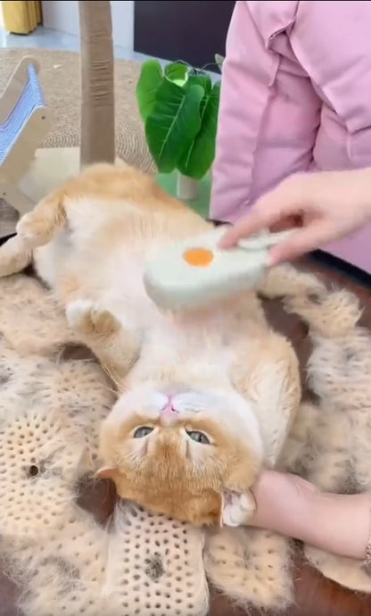 Pet Grooming Brush