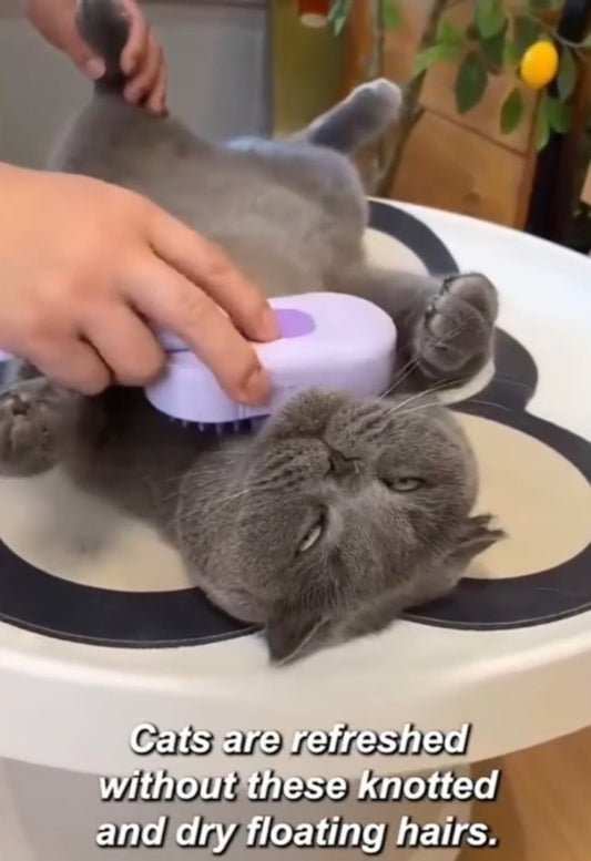 Pet Grooming Brush